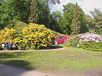 Rhododendronpark